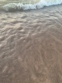 🥥