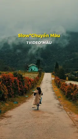 Tiếng Cọ Kêu Slow