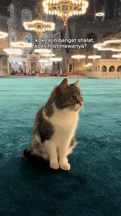 kok rajin bgt shalat