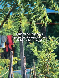 Story Kerja
