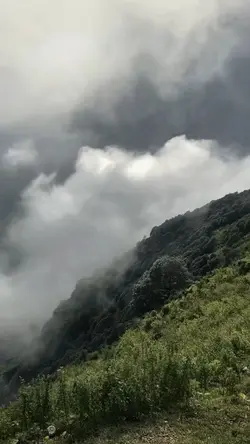 Outro