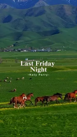 Last Friday Night