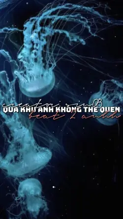 EM ĐÀNH BUÔNG TAY✨