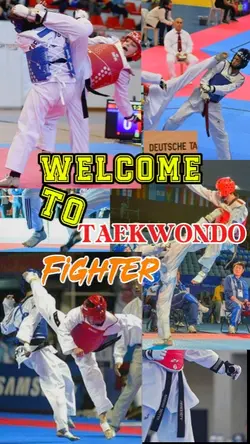 TAEKWONDO FIGHTER