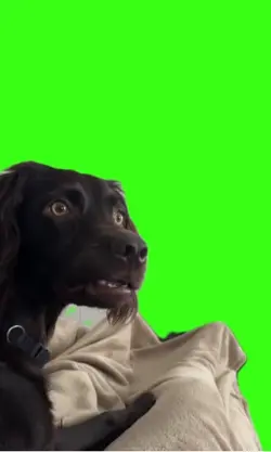 Tela verde