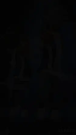 New édite zpt