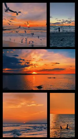aesthetic sunset