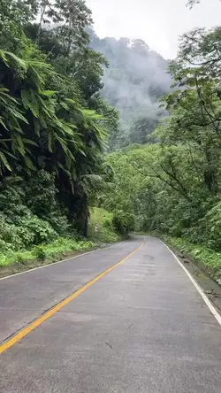pejuang
