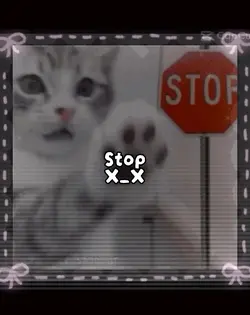 Stop and waittttt