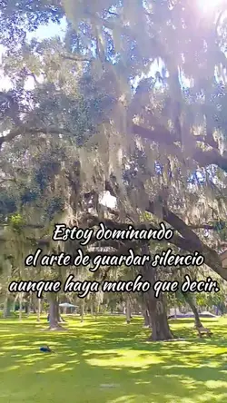 el silencio 