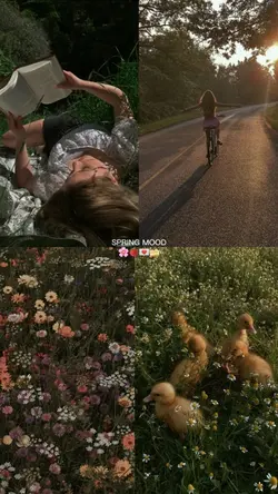 Spring mood