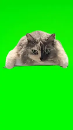 Geri Green Screen