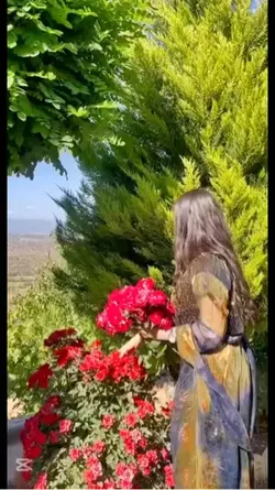 ♥️🌹