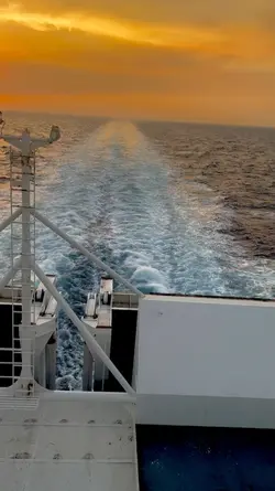 velet yeni şablon 