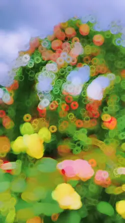 new trending slowmo