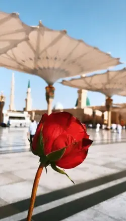 Darood_e_Pak