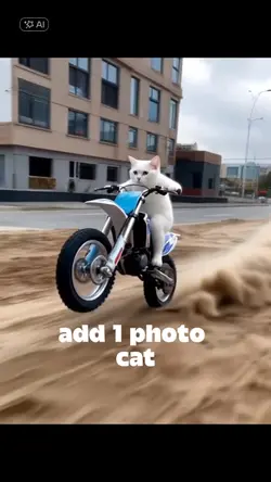 pet Motocross 