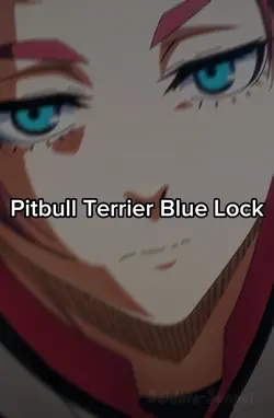Pitbull Terrier