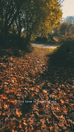 Just say hello