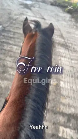 FREE REIN💘💞🐎🐴
