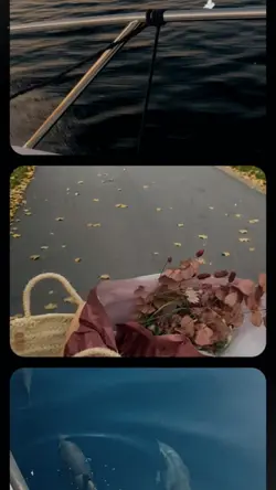 cinematic scroll