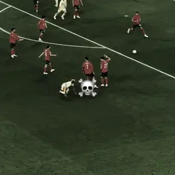 Skull Edit 1:1