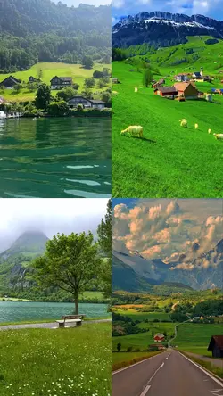 Nature view
