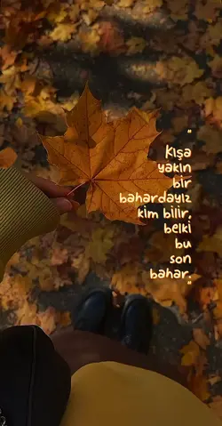Kim bilir belki de🍁