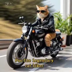 The Cat Is Riding