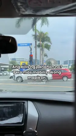 Acoustic Spongecola