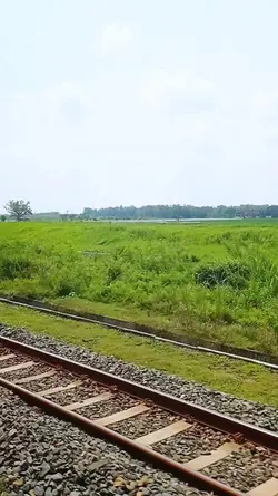 train vibes