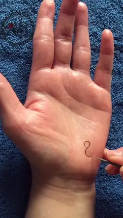 Mehndi 