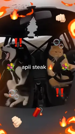 apii streak 🔥
