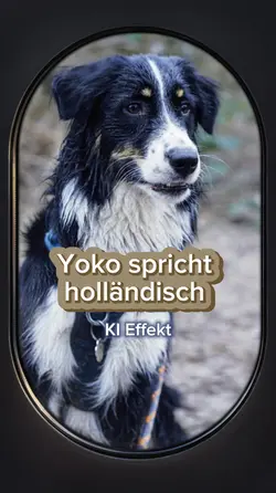 Yoko holländisch