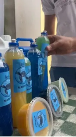 Feira de ciências 