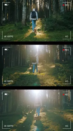 3 Horizontal Videos