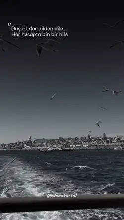 Yeni Şablon 