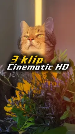 Cinematic HD 3 klip