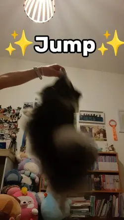 Pom-pom Jumping 