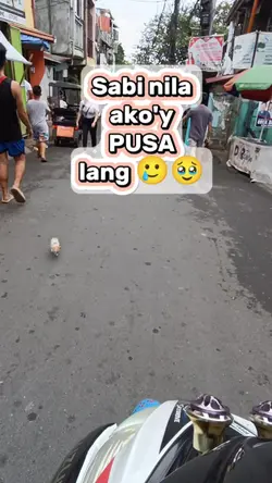 sabi nila pusa lang