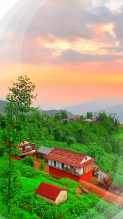 Beautiful Nature