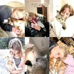 my cat lovers