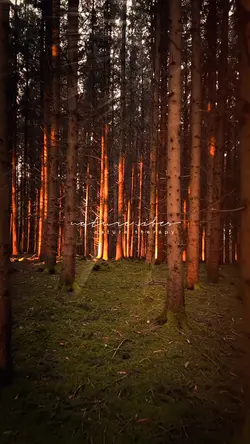 Nature Vibes❤️