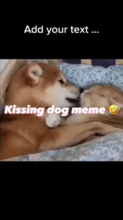 Kissing 😘 dog 🐕 