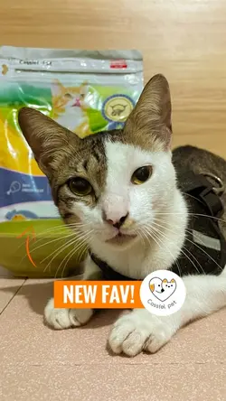 CAT PRODUCT UBOXING
