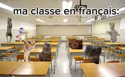 ma classe en françai