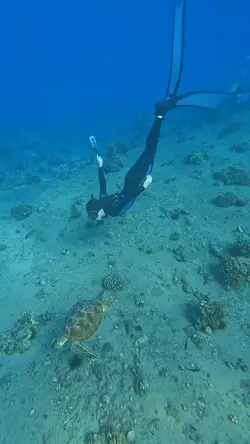 SWIM SLOWMO