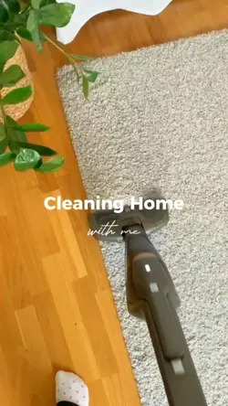 Cleaning Home