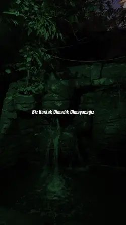 Biz Korkak Olmadık