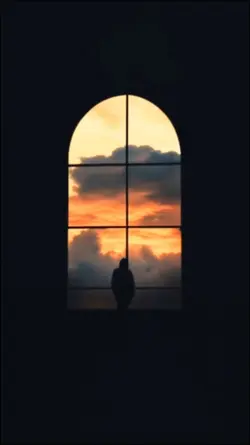 CINEMATIC NIGHT